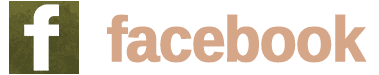 A green background with the word " ace ".