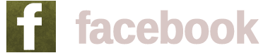 A green background with the word " ace ".