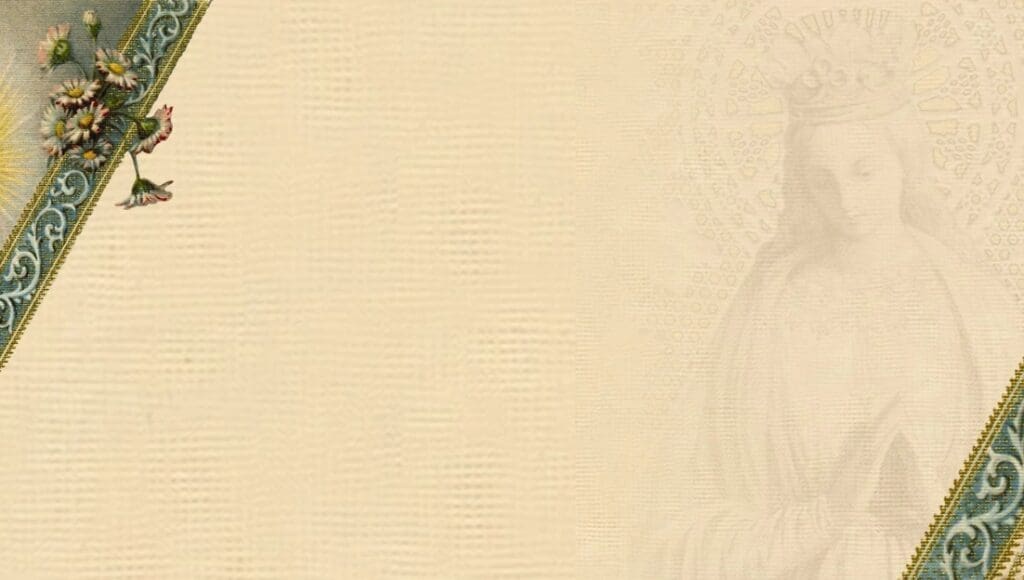 A close up of the fabric in a white background