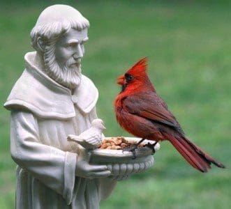 A cardinal sitting on top of a bird feeder.