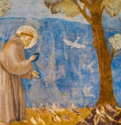 Saint with birds under a tree painting.